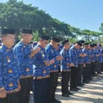 cara melamar guru di dinas pendidikan